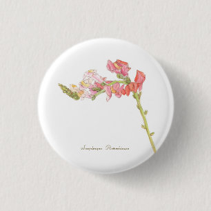Macaron Rond 2,50 Cm Bouton Snapdragon
