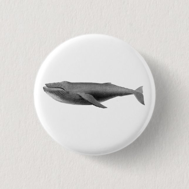 MACARON ROND 2,50 CM BOUTON VIE MARINE BALEINE (Devant)