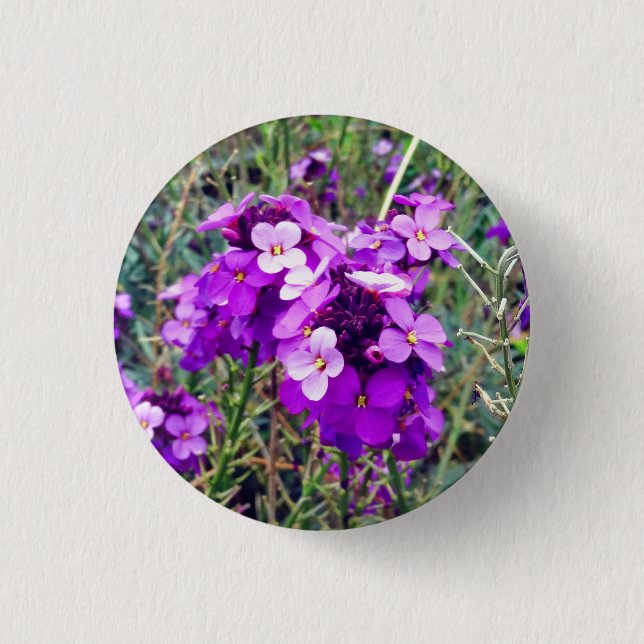 Macaron Rond 2,50 Cm Bouton Wallflower Bowles Mauve #1 (Devant)
