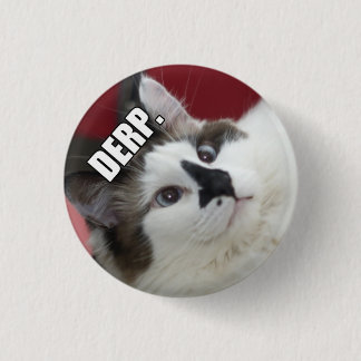 Macaron Rond 2,50 Cm Boutons de chat de Derp