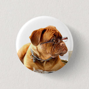 Macaron Rond 2,50 Cm Bulldog avec lunettes - Bouton