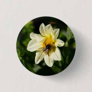 Macaron Rond 2,50 Cm Bumblebee et dahlia blanc photo