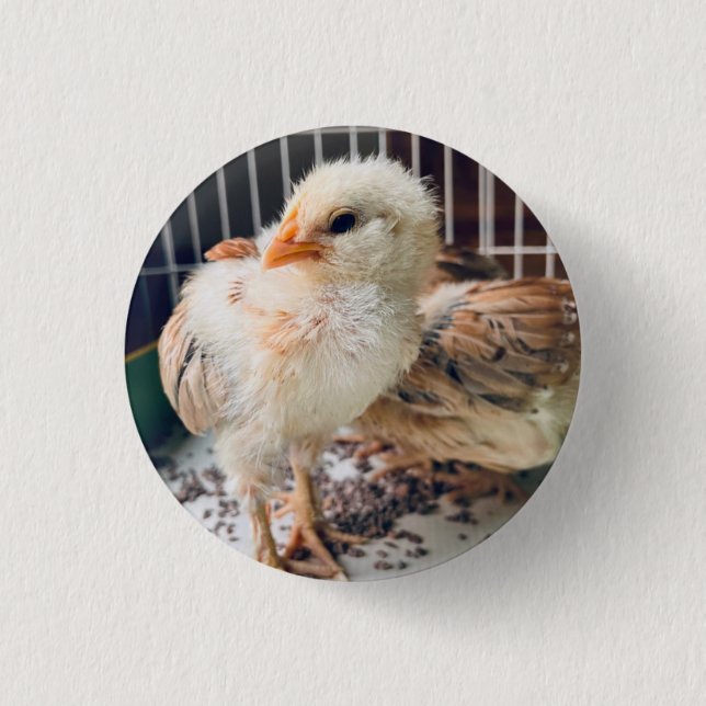 Macaron Rond 2,50 Cm Button Cute Baby Chick  (Devant)