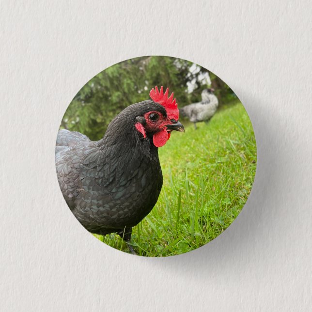 Macaron Rond 2,50 Cm Button Cute Rooster  (Devant)
