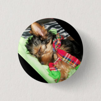Macaron Rond 2,50 Cm Câlin de Yorkie