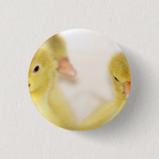 Macaron Rond 2,50 Cm Canetons jaunes duveteux
