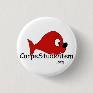Macaron Rond 2,50 Cm Carpe Studentem