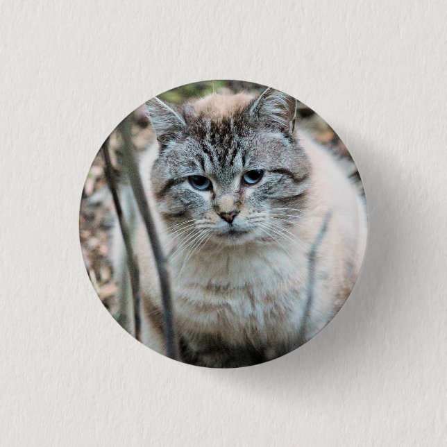 Macaron Rond 2,50 Cm Cat (Devant)