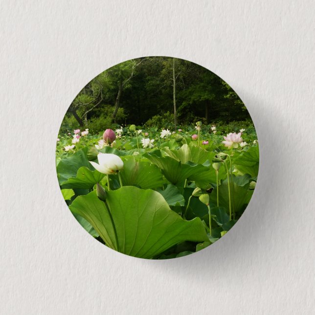Macaron Rond 2,50 Cm Champ de fleurs de Lotus Jardin d'été (Devant)
