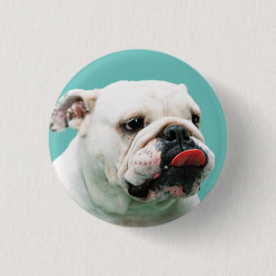 Macaron Rond 2,50 Cm Chien blanc mignon Bulldog