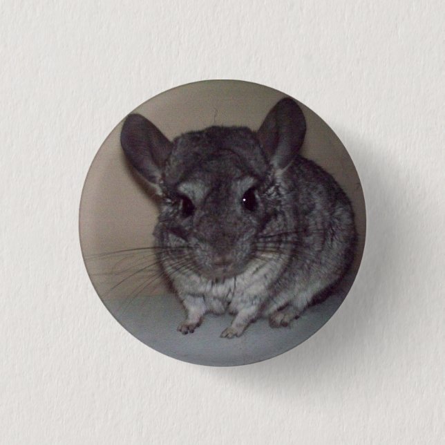Macaron Rond 2,50 Cm Chinchilla (Devant)