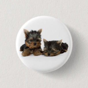 Macaron Rond 2,50 Cm Chiots du Yorkshire Terrier