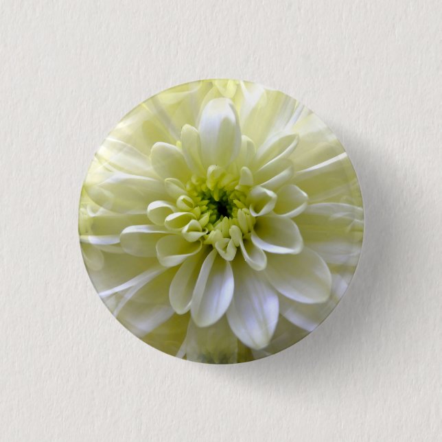 MACARON ROND 2,50 CM CHRYSANTHEMUM (Devant)