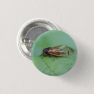 Macaron Rond 2,50 Cm Cicada Photo