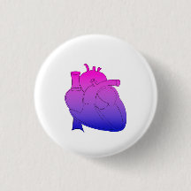 Coeur anatomique de fierté bisexuelle