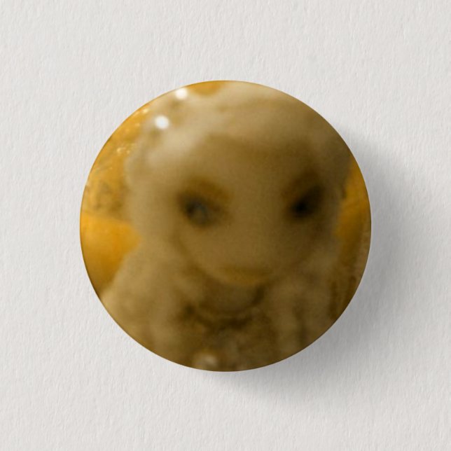 Macaron Rond 2,50 Cm Constance (Devant)