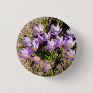 Macaron Rond 2,50 Cm Crocus de printemps mignons