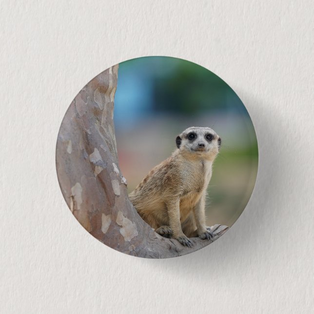 Macaron Rond 2,50 Cm Cute Meerkat Sat sur arbre (Devant)