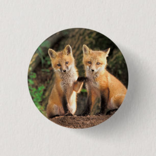 Macaron Rond 2,50 Cm Deux Pups Red Fox devant leur Den