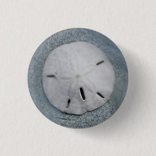 Macaron Rond 2,50 Cm Dollar de sable sur la plage Île de Sanibel, Flo