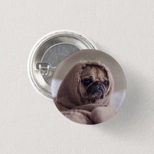 Macaron Rond 2,50 Cm Drôle chien Carlin enveloppé dans une écharpe