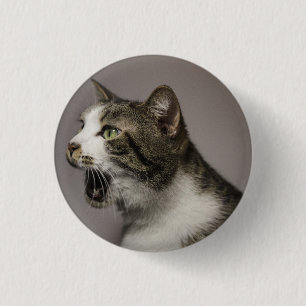 Macaron Rond 2,50 Cm Écran Cat Pin
