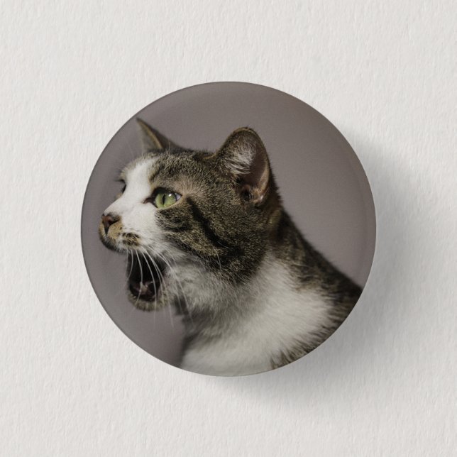 Macaron Rond 2,50 Cm Écran Cat Pin (Devant)