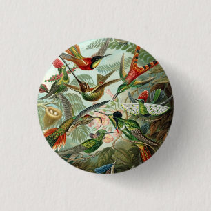 Macaron Rond 2,50 Cm Ernst Haeckel Hummingbirds - Les formes artistique