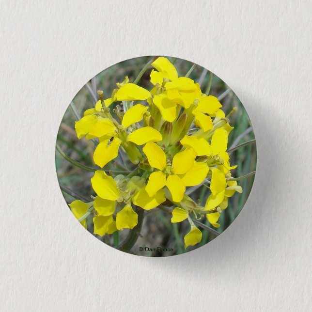Macaron Rond 2,50 Cm F14 Fleurs sauvages jaunes (Devant)