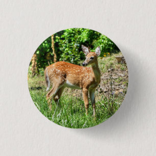 Macaron Rond 2,50 Cm Faune