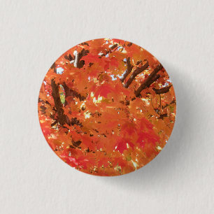 Macaron Rond 2,50 Cm Feuilles d'automne 1
