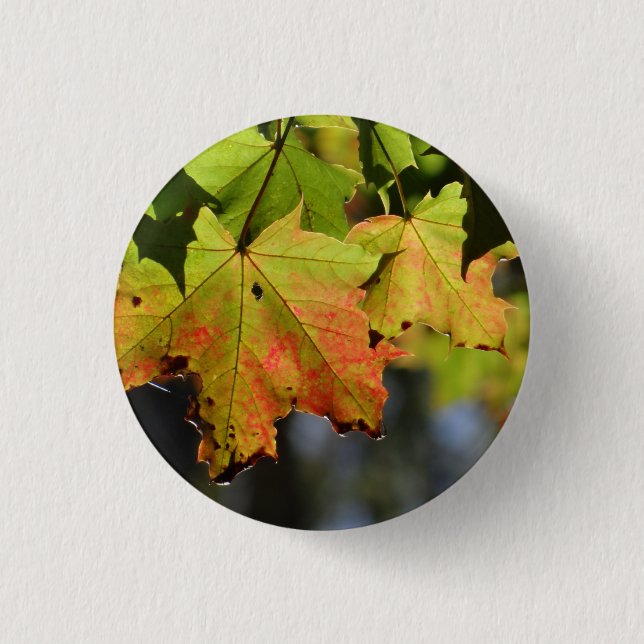 Macaron Rond 2,50 Cm Feuilles de chute colorées (Devant)