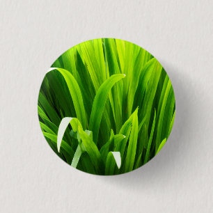Macaron Rond 2,50 Cm Feuilles rétroéclairés dans le jardin