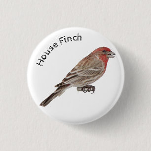 Macaron Rond 2,50 Cm Finch Maison