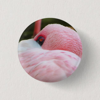 Macaron Rond 2,50 Cm Flamant rose