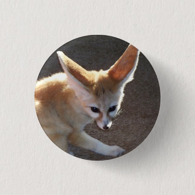 Macaron Rond 2,50 Cm Fox de Fennec (Devant)