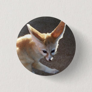 Macaron Rond 2,50 Cm Fox de Fennec