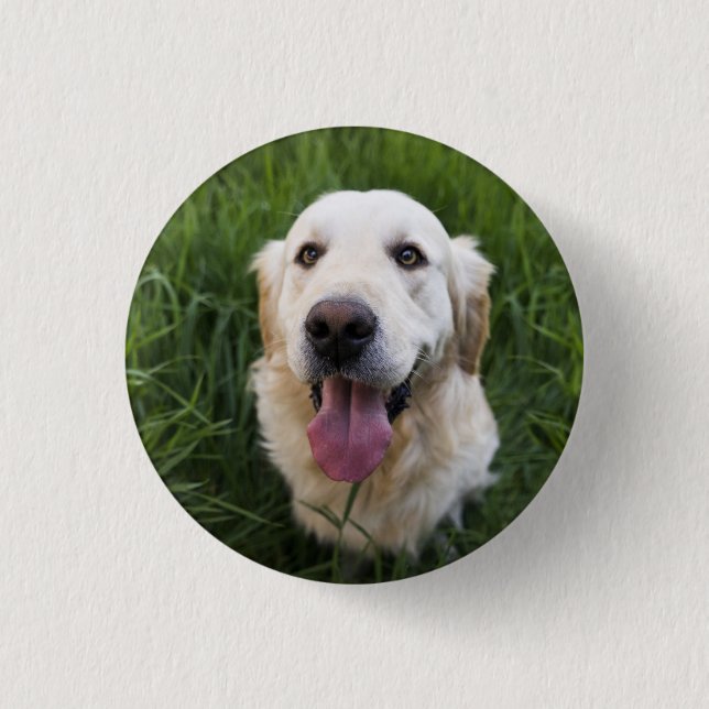 Macaron Rond 2,50 Cm Golden Retriever souriant (Devant)