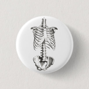 Macaron Rond 2,50 Cm Goupille éffrayante de bouton d'anatomie
