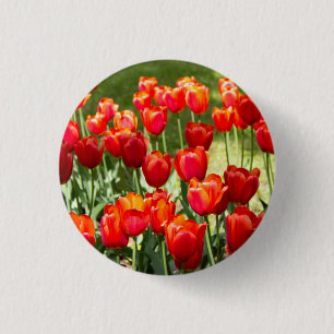 Macaron Rond 2,50 Cm Grand champ de tulipes rouges