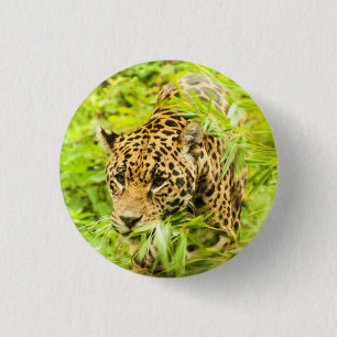 Macaron Rond 2,50 Cm Guépard - bouton