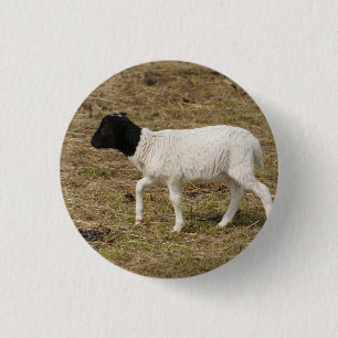 Macaron Rond 2,50 Cm HAMbWG - Bouton Carré - Mouton à tête noire
