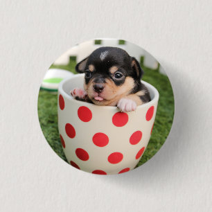 Macaron Rond 2,50 Cm HAMbWG - Square Button - Teacup Puppy