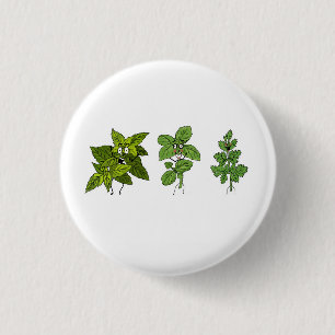 Macaron Rond 2,50 Cm Herbes, thème herbes