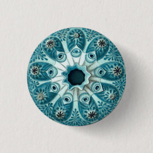 Macaron Rond 2,50 Cm Illustration de l'écureuil marin vintage
