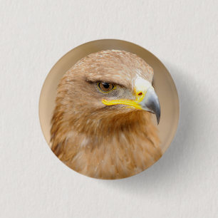 Macaron Rond 2,50 Cm Insigne avec Eagle d'or