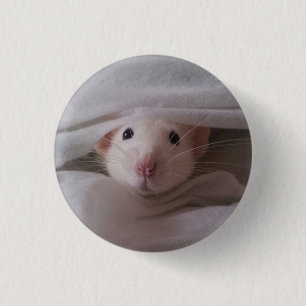 Macaron Rond 2,50 Cm Insigne/bouton blancs de rat