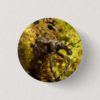 Macaron Rond 2,50 Cm Insigne de charançon