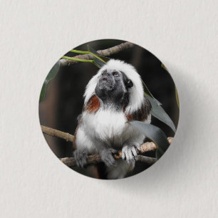 Macaron Rond 2,50 Cm Insigne de Tamarin