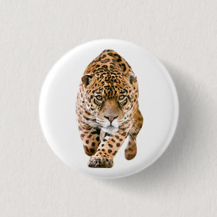 Macaron Rond 2,50 Cm Jaguar Eyes